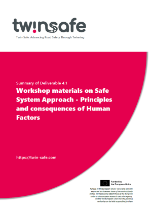 TWINSAFE_101159114_D4.1.SUMMARY