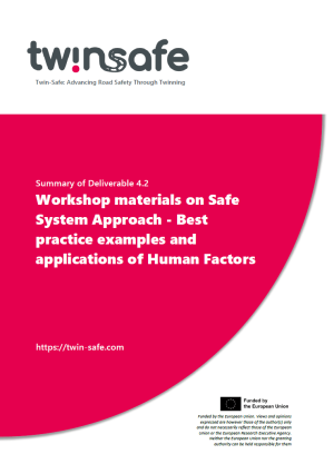 TWINSAFE_101159114_D4.2. SUMMARY